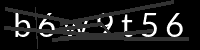 PHP Captcha für Piwigo